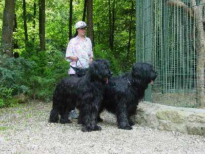Paso (rechts) und seine Schwester vor dem Affenk�fig!