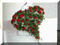 PICT0003.jpg (103432 Byte)