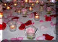 PICT0317.jpg (74358 Byte)
