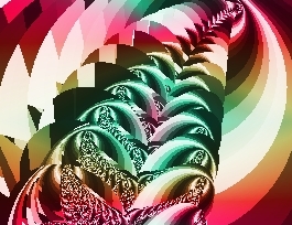 gallery2.jpg