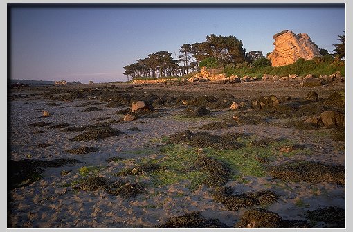 Île Balanec