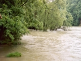Aare