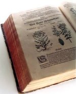 Heilpflanzenbuch