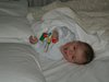 Dscn1231_JPG_jpg