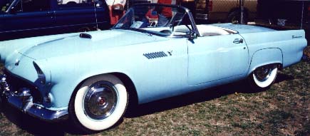 Tbird.jpg (20828 Byte)
