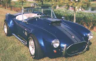 cobra-DulleFL.jpg (12003 Byte)