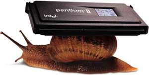 snail-side.jpg (6304 Byte)