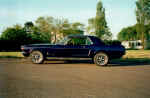 Mustang 3.jpg (99777 Byte)