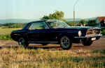 Mustang 4.jpg (97704 Byte)