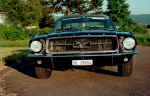 Mustang 5.jpg (97348 Byte)