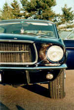 Mustang teil2.jpg (99028 Byte)