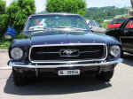 Mustange.jpg (95128 Byte)