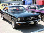 Mustangg.jpg (99632 Byte)