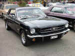 Mustangu.jpg (96825 Byte)