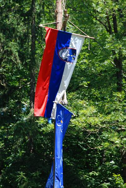 DSC_1551.JPG