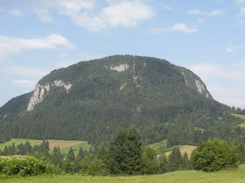 DSCN0721.JPG