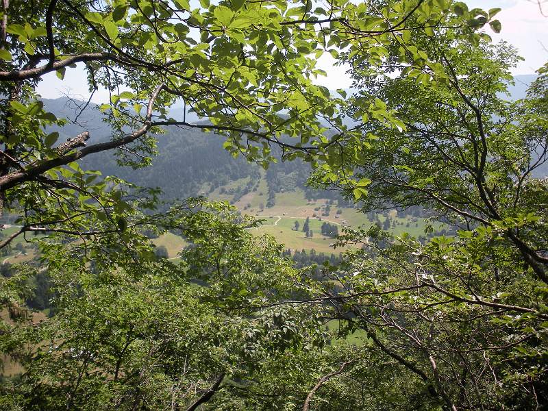 DSCN0729.JPG
