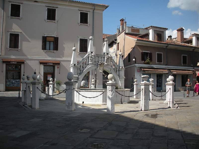 DSCN0486.JPG
