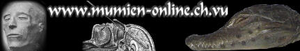 Theorie & Praxis der Mumifzierung. Experimente wie die Einbalsamierung eines Krokodils, Interessantes &uuml;ber den Totenkult, Mumiensch&auml;ndung, Mumienforschung, Riten und vieles mehr.