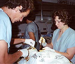 Bob Brier beim Einwickeln seiner Mumie 