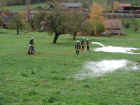 DSCN0110.jpg (23930 Byte)