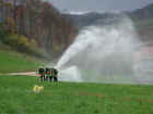 gruppe_seppi_03.jpg (12637 Byte)