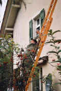 haupt02_06.jpg (26241 Byte)