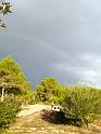 DSC00517