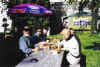 burnch schloss.jpg (29811 Byte)