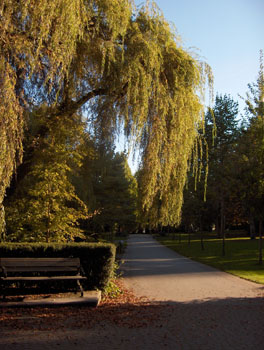 15 - Stanley Park