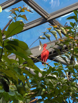 22 -  Aquarium in Stanley Park