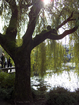 18 - Chinese Garden