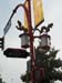 16- Traffic Lights in Chinatown