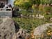 20 - Chinese Garden