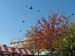 21 - Granville Island Public Market