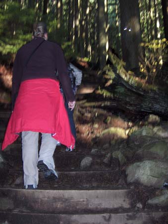 11 - the first steps