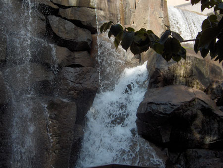 56 - Waterfall Garden