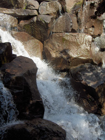 57 - Waterfall Garden