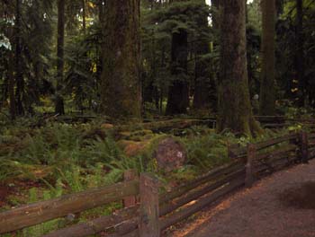35 - Park