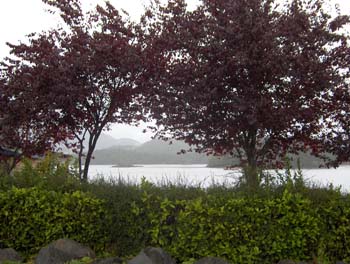 37 - Tofino