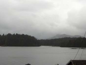 39 - Tofino