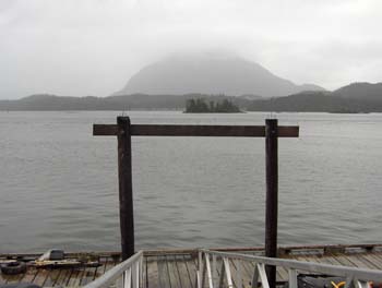 45 - Always Rain in Tofino