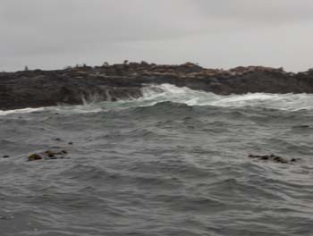 46 - Seals