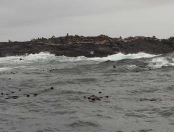 47 - Seals
