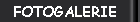 FOTOGALERIE