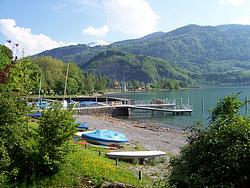 The harbor