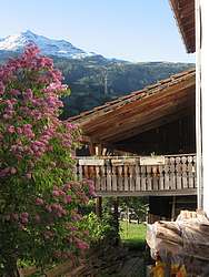 Marietta's side porch