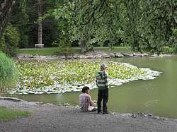 Kids fishing in the park