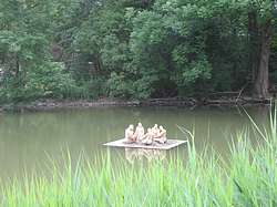 Again modern art: five women on a float