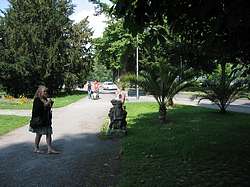 American tourist